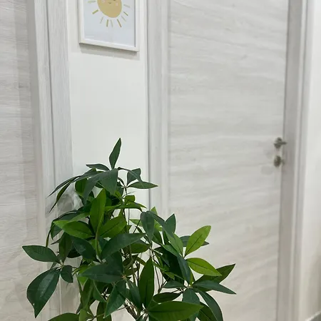 Apartment La Casa Del Sole Naples